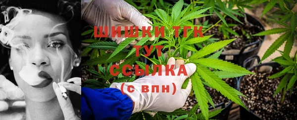 соль ск Гусев