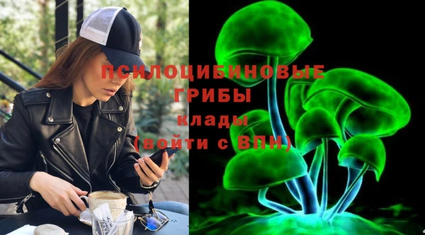 соль ск Гусев